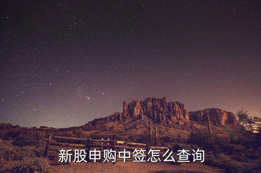 怎么查找新股,新股申購(gòu)第三天可查詢(xún)是否中彩票