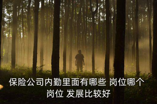 保險公司內勤里面有哪些 崗位哪個 崗位 發(fā)展比較好