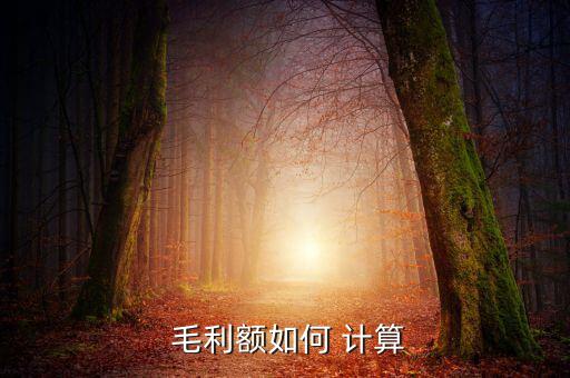  毛利額如何 計算