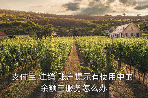 怎么注銷余額寶賬戶,余額如何關閉支付寶?一文看懂