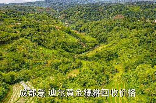 愛迪爾千足金怎么樣,黃金現(xiàn)貨價(jià)格:257.64萬人民幣/克