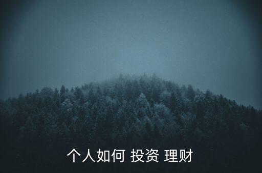 個人如何 投資 理財(cái)