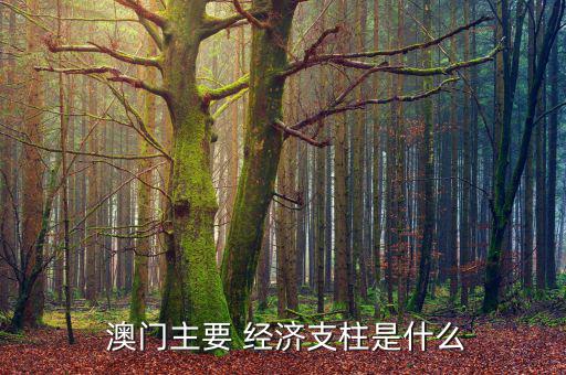  澳門(mén)主要 經(jīng)濟(jì)支柱是什么