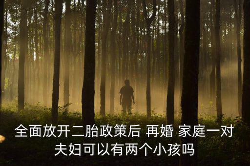 全面放開二胎政策后 再婚 家庭一對夫婦可以有兩個(gè)小孩嗎