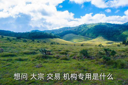 怎么看機構大宗交易,大宗-1/交易須遵守什么規(guī)則?
