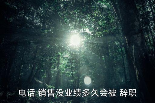 電話 銷售沒業(yè)績(jī)多久會(huì)被 辭職