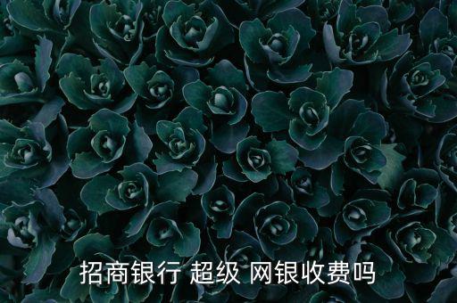 招行超級網(wǎng)銀怎么開通,超級網(wǎng)銀轉他行賬戶招行