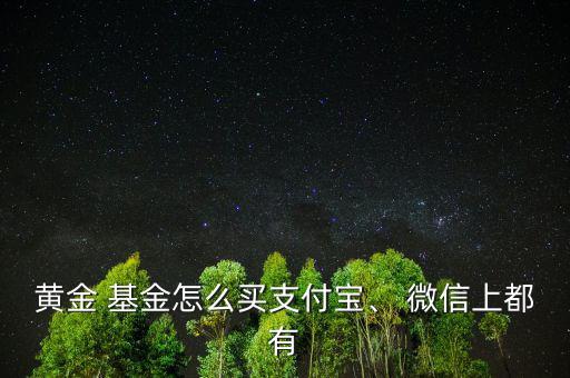 黃金 基金怎么買(mǎi)支付寶、 微信上都有