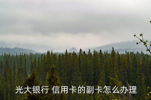 光大信用卡副卡怎么辦,主卡已解禁的持卡人應向銀行申請附屬卡