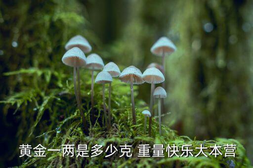  黃金一兩是多少克 重量快樂(lè)大本營(yíng)