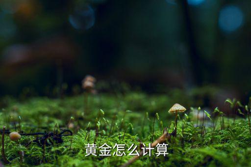 怎么算黃金的重量,我國普遍習慣使用盎司作為國際黃金計量單位