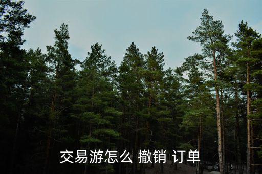 交易游怎么 撤銷(xiāo) 訂單