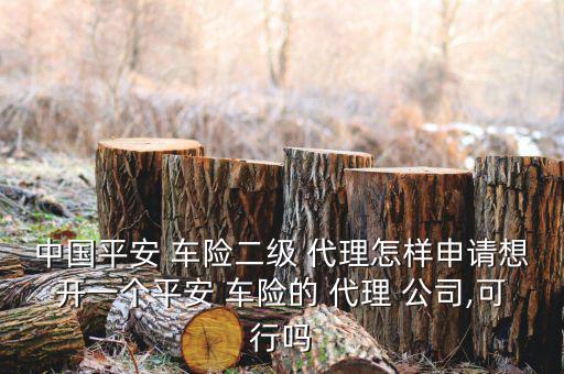 中國平安 車險(xiǎn)二級 代理怎樣申請想開一個平安 車險(xiǎn)的 代理 公司,可行嗎