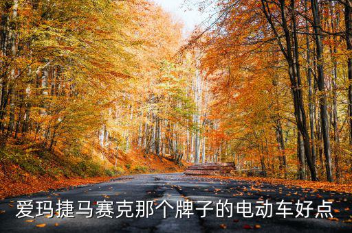 愛(ài)瑪捷馬賽克那個(gè)牌子的電動(dòng)車好點(diǎn)