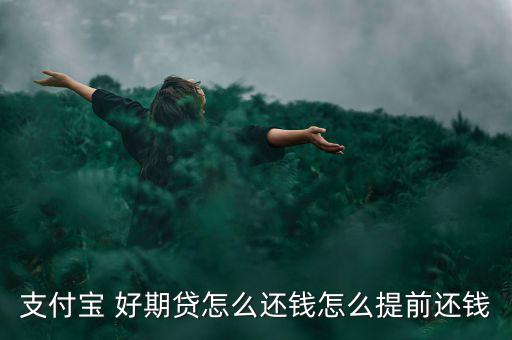 好期貸怎么收款,如何申請支付寶智聯好期貸款?