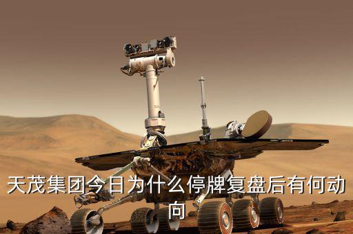 天茂集團什么時候開盤，天茂集團今日為什么停牌復盤后有何動向