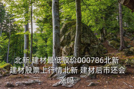 北新 建材最低股價(jià)000786北新 建材股票上行情北新 建材后市還會漲嗎