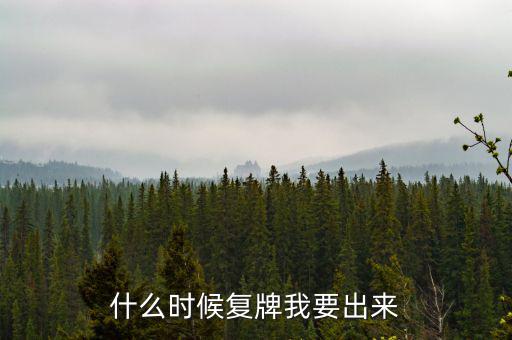 什么時候復牌我要出來