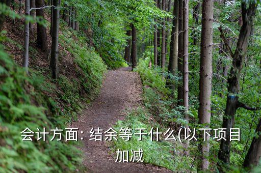 滾存結余怎么算,財務預算案2021:收入費用等先轉(zhuǎn)入結余