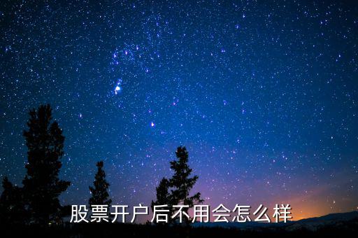  股票開(kāi)戶后不用會(huì)怎么樣