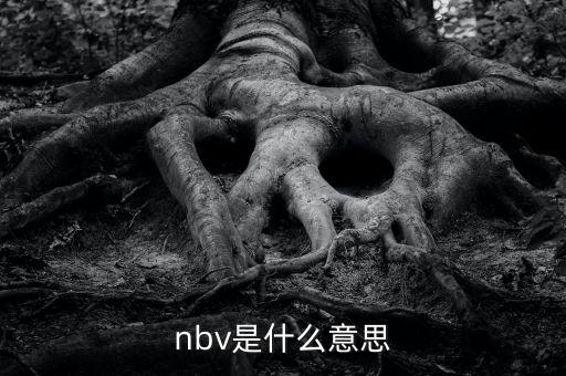 保險nbv是什么意思，nbv是什么意思