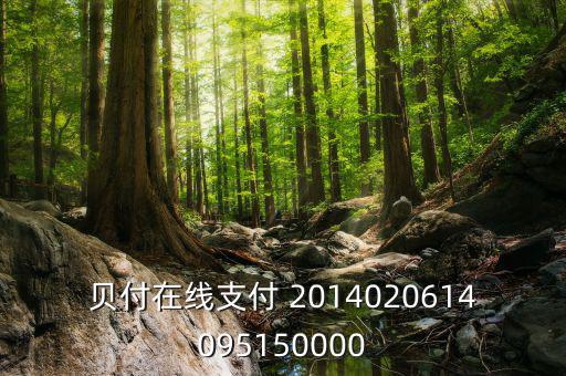 貝付支付和658金融什么關(guān)系，貝付在線支付 2014020614095150000