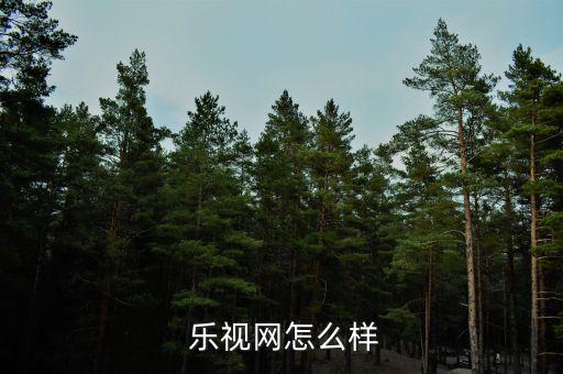 樂視網公司怎么樣,樂視網信息技術北京有限公司退市