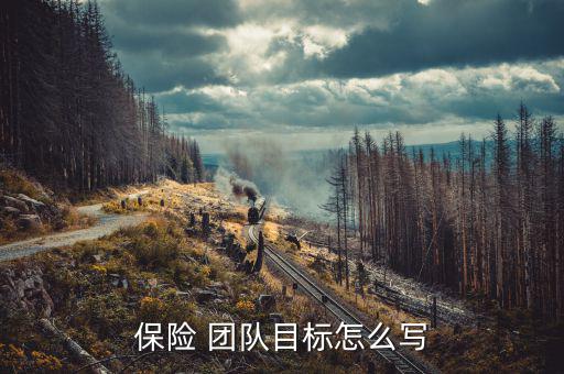 保險(xiǎn)團(tuán)隊(duì)工作發(fā)展計(jì)劃怎么寫(xiě),保險(xiǎn)職業(yè)規(guī)劃怎么寫(xiě)