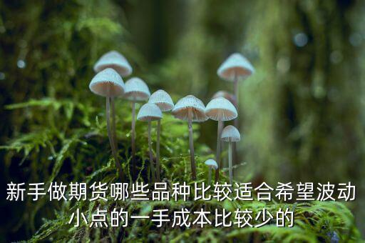 兩萬能做期貨什么品種，我用兩萬做商品期貨