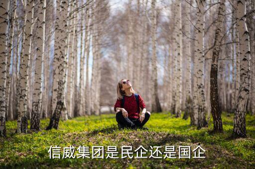 信威集團是什么公司，信威集團是民企還是國企