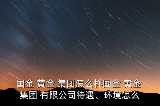 國金 黃金 集團(tuán)怎么樣國金 黃金 集團(tuán) 有限公司待遇、環(huán)境怎么