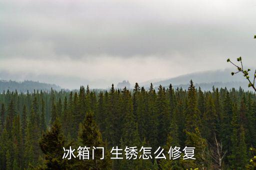  冰箱門 生銹怎么修復(fù)