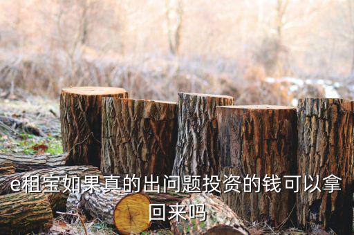 e租寶注冊(cè)有什么風(fēng)險(xiǎn)，朋友讓我給他注冊(cè)個(gè)e租包賬號(hào)安全嗎