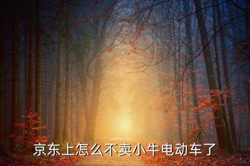 京東什么時(shí)候開放小牛，京東上怎么不賣小牛電動(dòng)車了