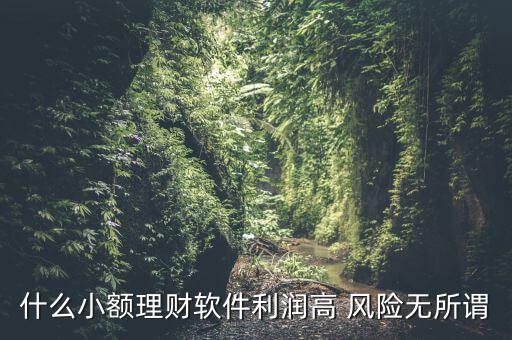 什么小額理財(cái)最安全，什么小額理財(cái)軟件利潤(rùn)高 風(fēng)險(xiǎn)無所謂