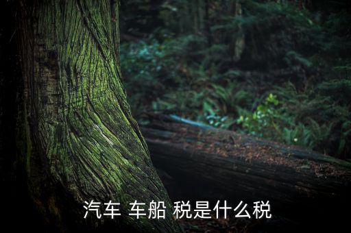 汽車車船稅是怎么樣,車船稅是對車輛、船舶征收的稅