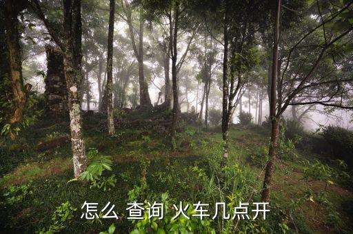 怎么 查詢 火車幾點(diǎn)開(kāi)