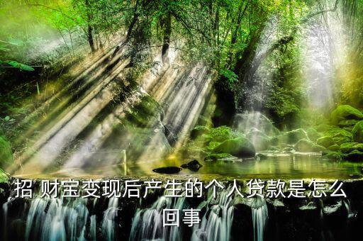 招財寶個人貸怎么退保,清算是一種個人貸款的直接融資項(xiàng)目?