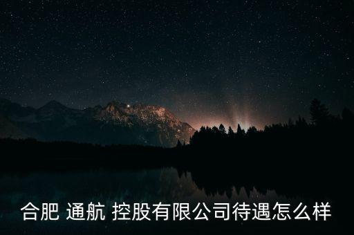 通航控股怎么樣,幸?？毓墒侵袊娇展I(yè)集團公司子公司