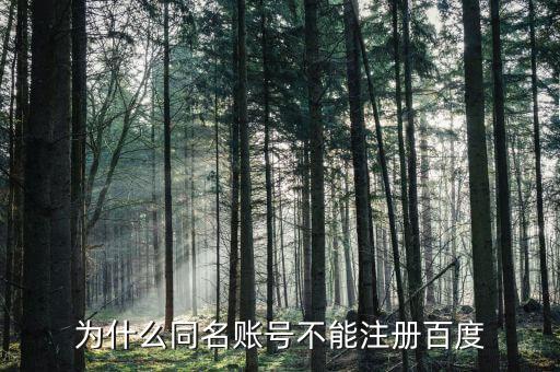 什么是同名賬戶，神武游戲說存在同名賬號是什么意思