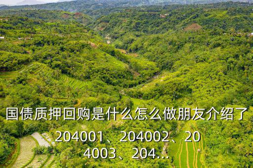 國債質(zhì)押回購是什么怎么做朋友介紹了 204001、204002、204003、204...