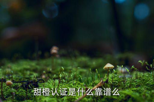 甜橙金融公司是什么，便捷的網(wǎng)貸理財企業(yè)是什么