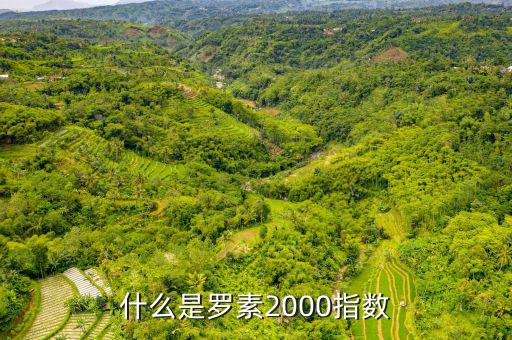 平安羅素是什么，平安epass是什么東西