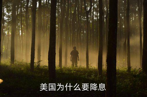 美國(guó)為什么要加息，美國(guó)為什么加息還會(huì)加息嗎