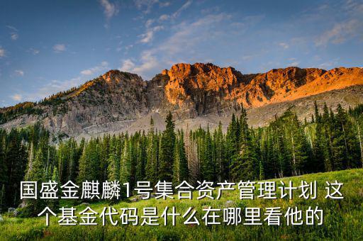 金麒麟3號(hào)投資什么，大家覺得在金麒麟上投資好不好啊