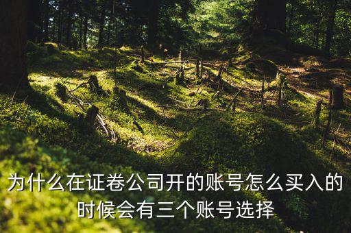 為什么在證卷公司開(kāi)的賬號(hào)怎么買入的時(shí)候會(huì)有三個(gè)賬號(hào)選擇