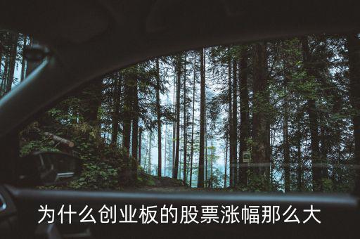 創(chuàng)業(yè)板為什么暴漲，為什么創(chuàng)業(yè)板一漲大盤就上漲
