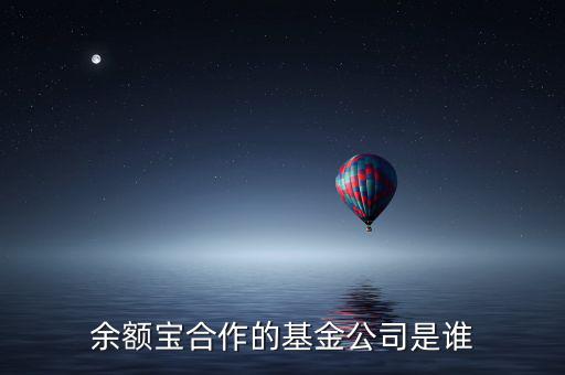 余額寶投資過什么公司，余額寶合作的基金公司是誰