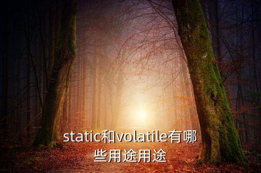 vtm有什么用，static和volatile有哪些用途用途