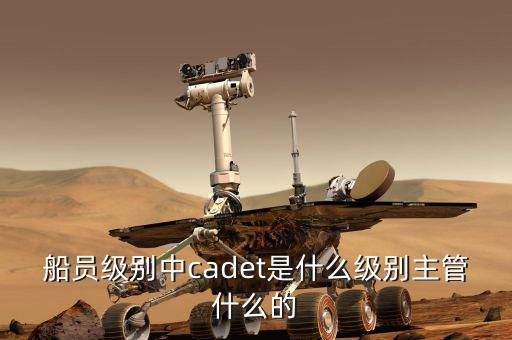 中船總經(jīng)理什么級(jí)別，中國(guó)船舶總公司總經(jīng)理啥級(jí)別